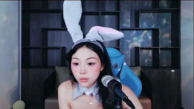 Lanmei01 webcam