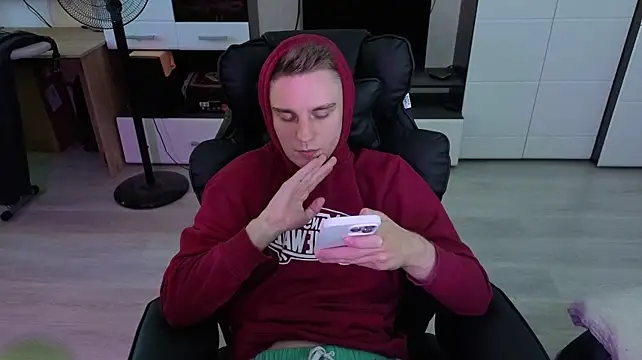pvlpstvy webcam