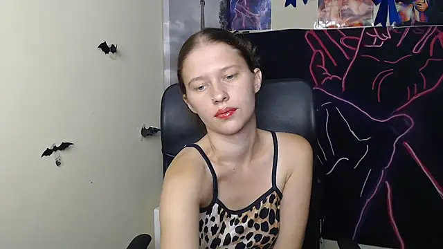 StellaCRL webcam