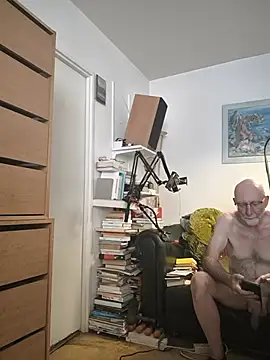briochin webcam