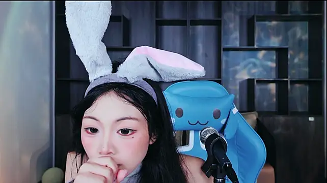 Lanmei01 webcam