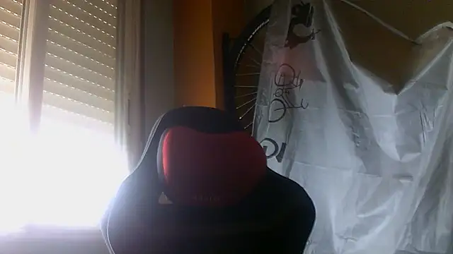 porkorossy webcam