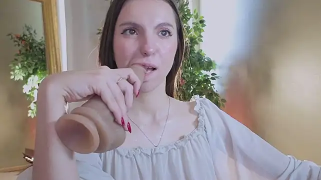 Alice-Lidel webcam