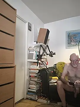 briochin webcam
