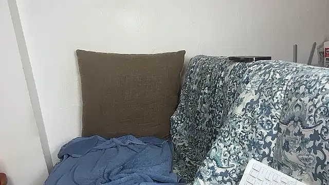 velvetvista webcam