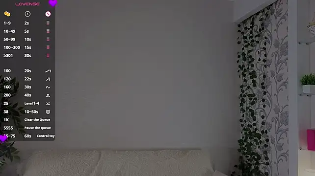 MeiLiscio webcam