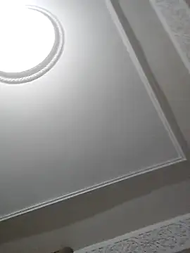 Demillvan webcam