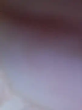 bushhogger8371 webcam