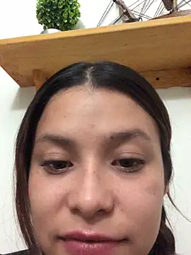 3littles webcam