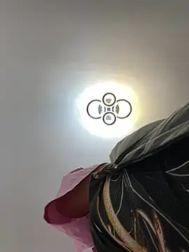 MayaMR webcam