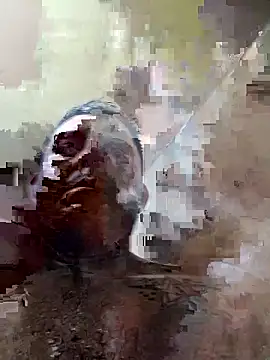 125Delfin90 webcam