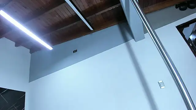 Alexa-23 webcam