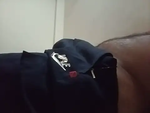 KrishNaik webcam