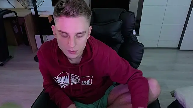 pvlpstvy webcam