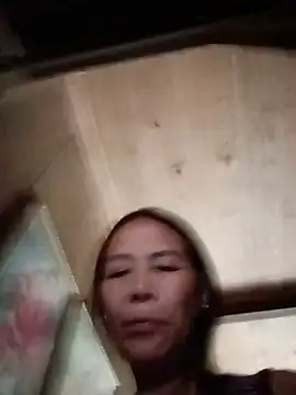 toyo_668 webcam