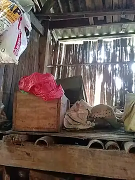 sakysa webcam