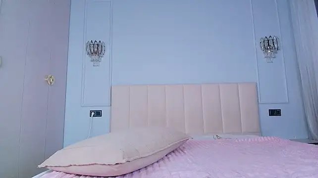 sophiesoft webcam