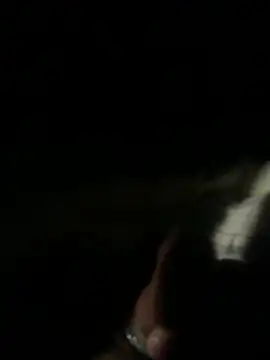 HillyPetard webcam