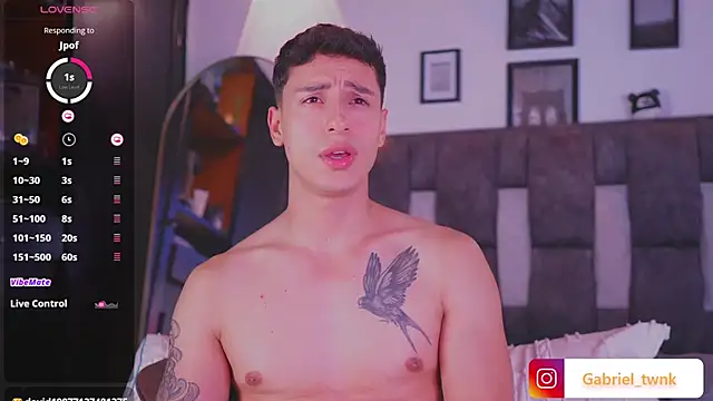I_Gabriel webcam