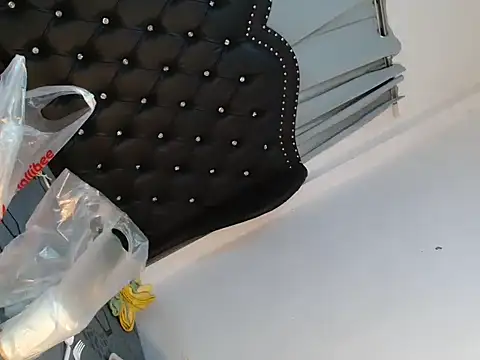 wildcock_virginia webcam