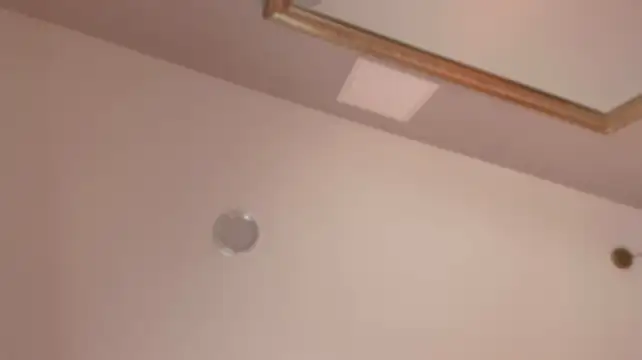roxy_zen_