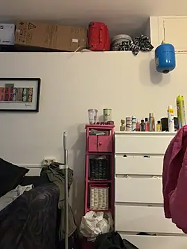 ladyturtle