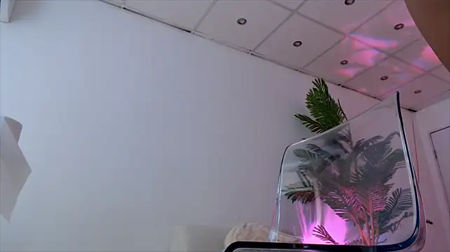 yuukenzi webcam