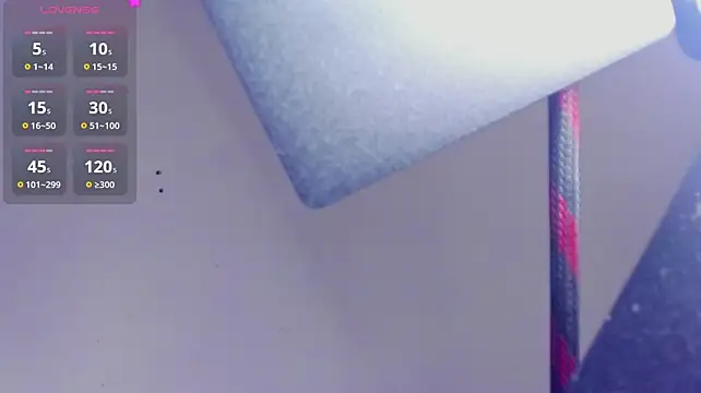 reshi_hevss webcam