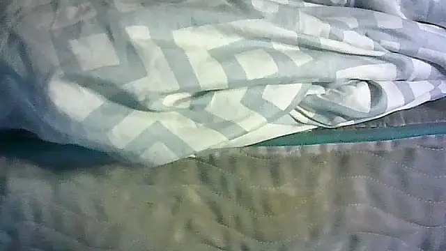 CR3M3_FIR3 webcam