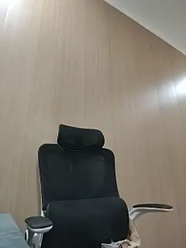 Fanritar webcam