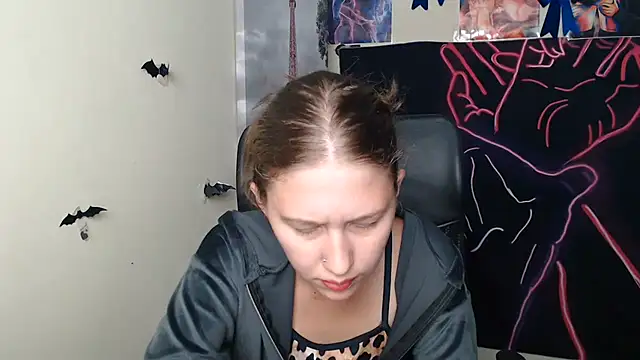 StellaCRL webcam