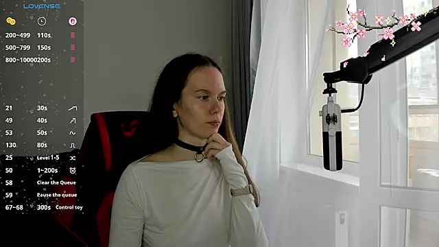 Vulgar_Tamer