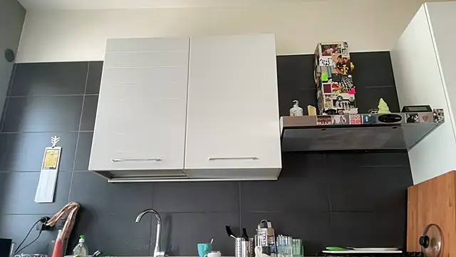 theitalianbear webcam