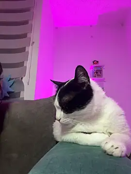 sophie_cute66 webcam