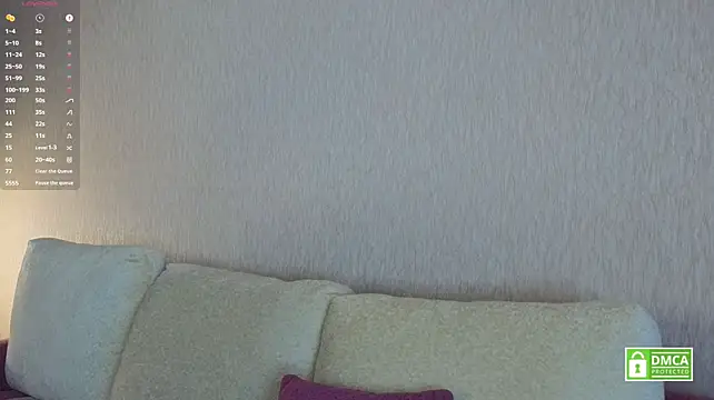 HongTomczak webcam