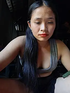 Liss-mimi webcam
