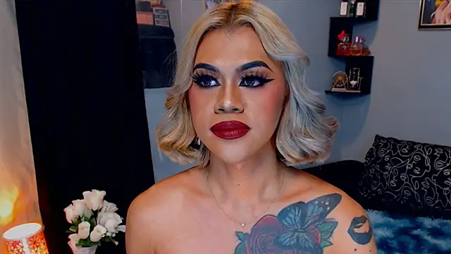 StellaStrong30 webcam