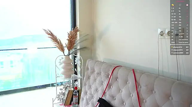 EngelCoyner webcam