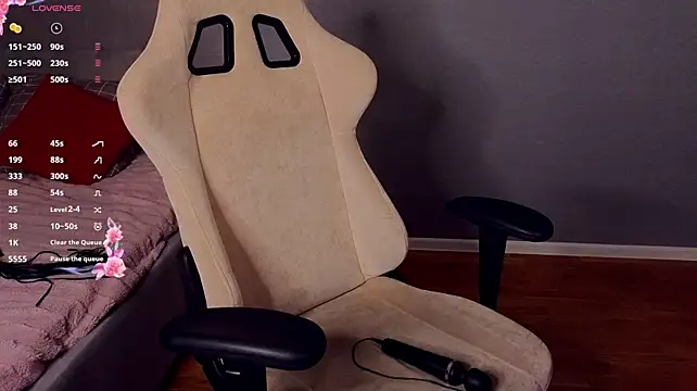 stelamontis webcam