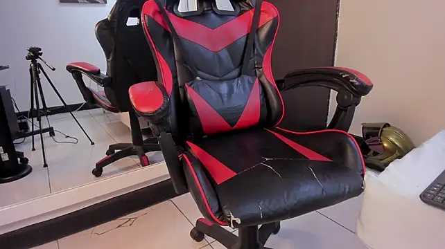 LeoDrake_ webcam