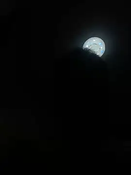 niuxige001 webcam