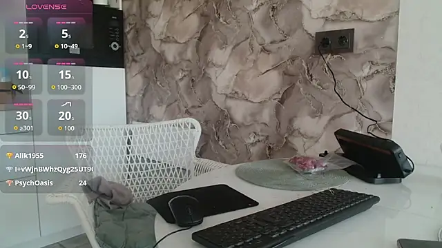 secret_library webcam