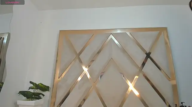 mitch_asm webcam