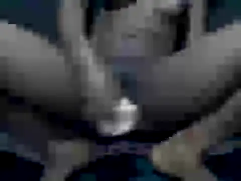 cocolicky webcam