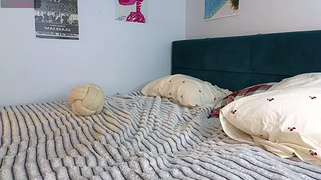 vixinp webcam