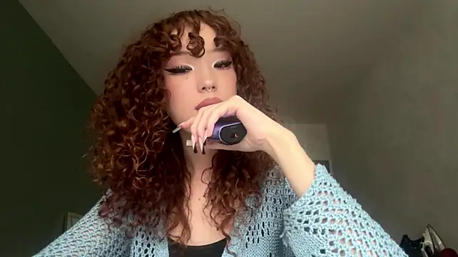 NullllTigers webcam