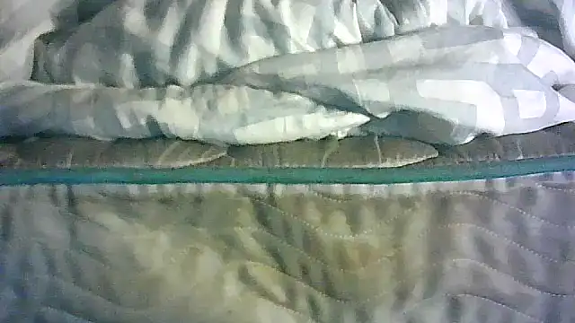 CR3M3_FIR3 webcam