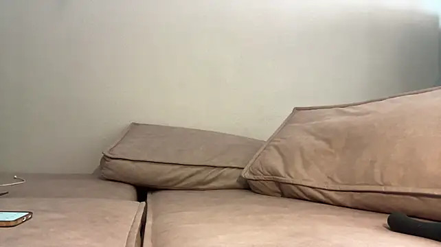 TalorSprint webcam