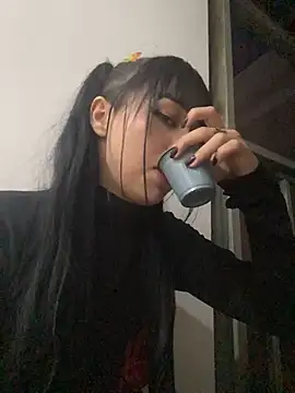 EvaSander webcam