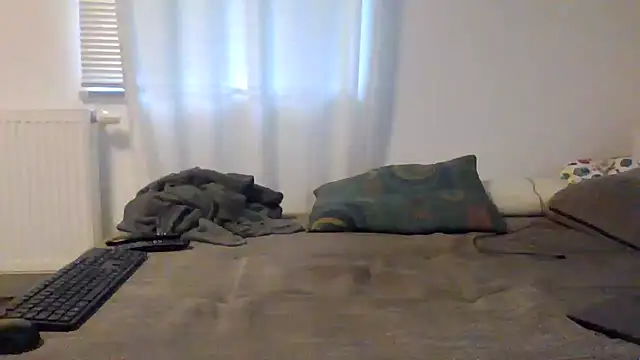 XLBarehengst webcam
